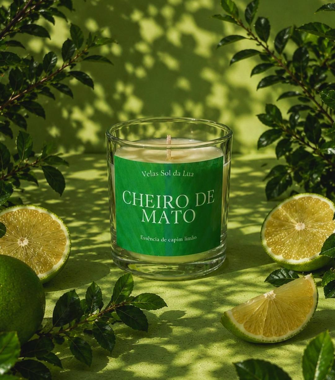 Vela Cheiro de Mato — Capim-limão